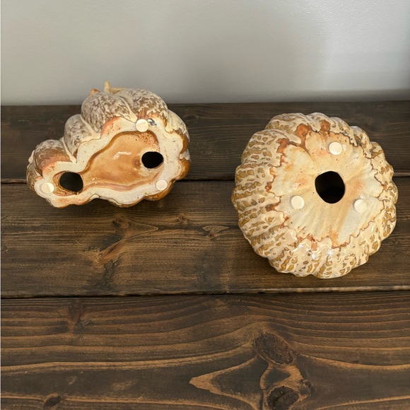 Decorative Fall Pumpkins 🎃🧡 - Picture 3 of 3